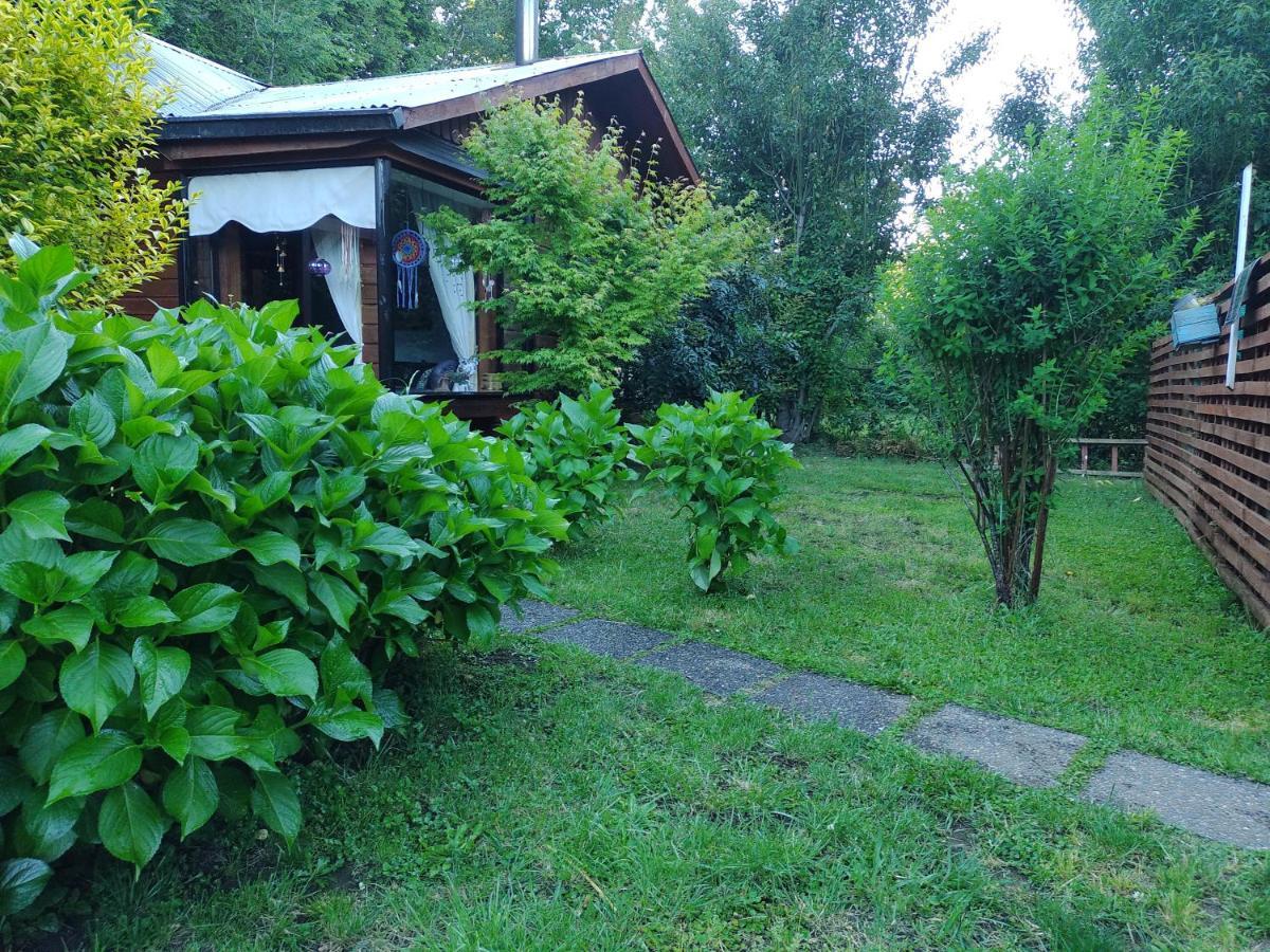 Amoblada Apartamento Pucón